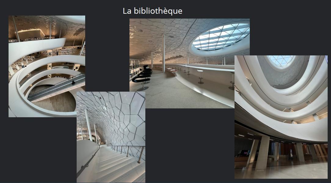 La blbliotheque